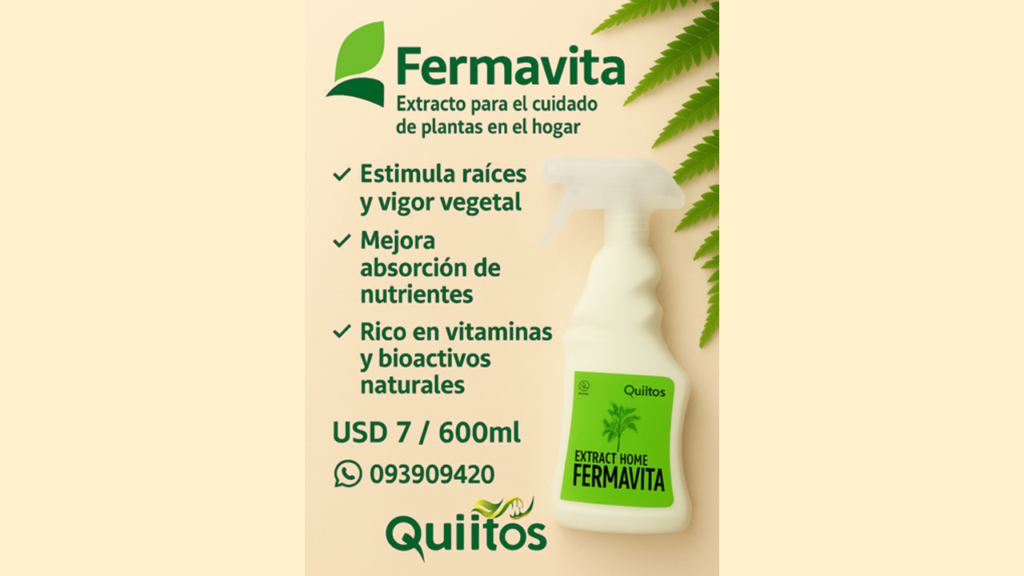Diapositiva1