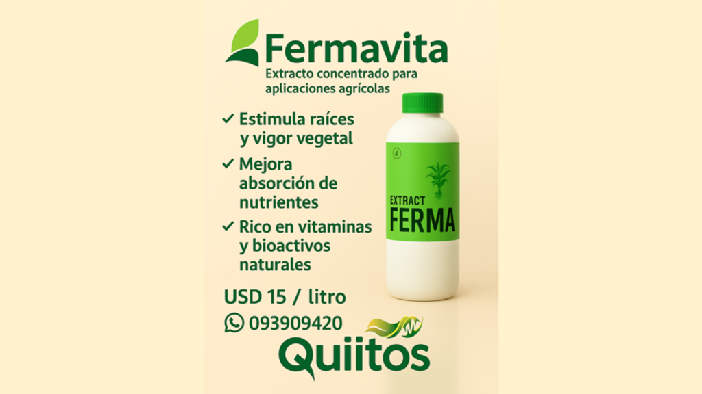 Diapositiva2