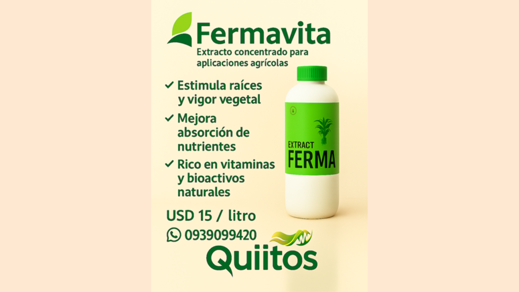 Diapositiva2